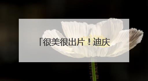 很美很出片！迪庆的杜鹃花开好了——有一种叫云南的生活之365天