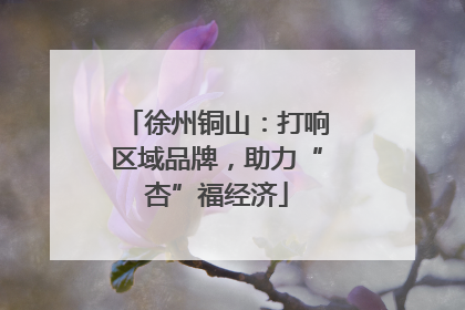 徐州铜山：打响区域品牌，助力“杏”福经济