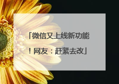 微信又上线新功能！网友：赶紧去改