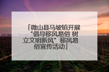 微山县马坡镇开展“倡导移风易俗 树立文明新风”移风易俗宣传活动