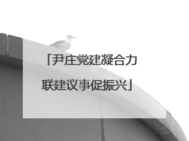 尹庄党建凝合力 联建议事促振兴