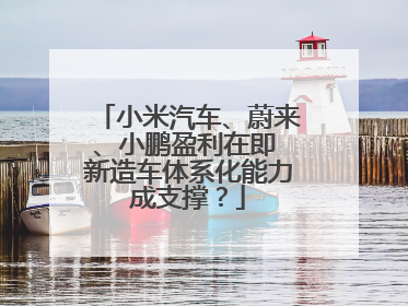 小米汽车、蔚来、小鹏盈利在即 新造车体系化能力成支撑？