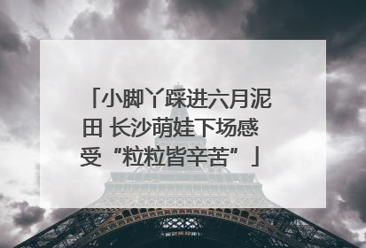 小脚丫踩进六月泥田 长沙萌娃下场感受“粒粒皆辛苦”