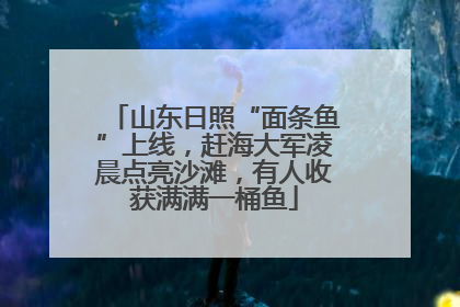 山东日照“面条鱼”上线，赶海大军凌晨点亮沙滩，有人收获满满一桶鱼