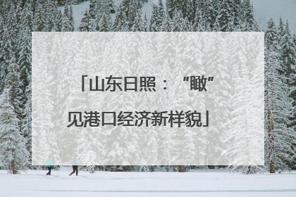 山东日照：“瞰”见港口经济新样貌