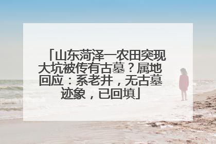 山东菏泽一农田突现大坑被传有古墓？属地回应：系老井，无古墓迹象，已回填
