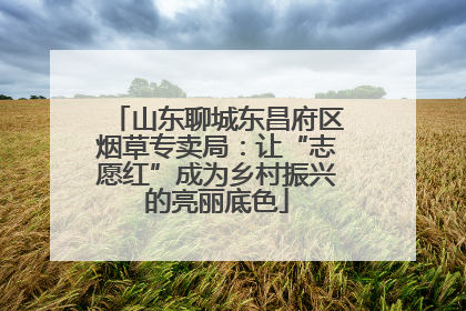 山东聊城东昌府区烟草专卖局：让“志愿红”成为乡村振兴的亮丽底色