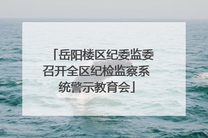 岳阳楼区纪委监委召开全区纪检监察系统警示教育会