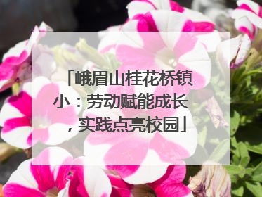 峨眉山桂花桥镇小：劳动赋能成长，实践点亮校园