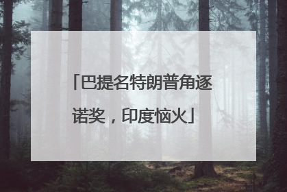 巴提名特朗普角逐诺奖，印度恼火