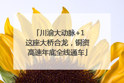 川渝大动脉+1 这座大桥合龙，铜资高速年底全线通车