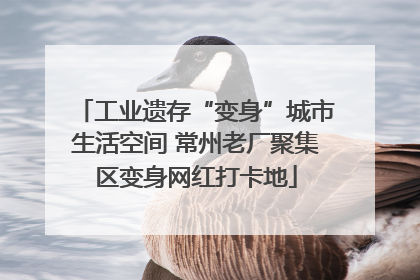 工业遗存“变身”城市生活空间 常州老厂聚集区变身网红打卡地