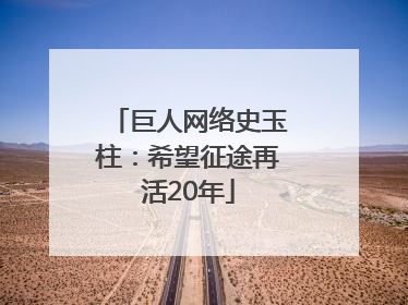 巨人网络史玉柱：希望征途再活20年