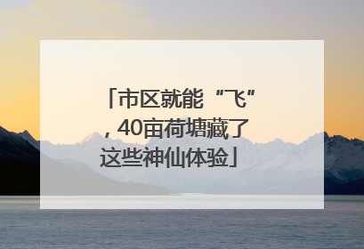 市区就能“飞”，40亩荷塘藏了这些神仙体验