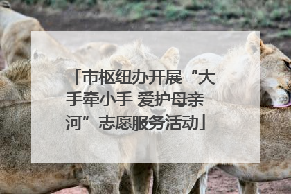 市枢纽办开展“大手牵小手 爱护母亲河”志愿服务活动