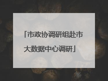 市政协调研组赴市大数据中心调研