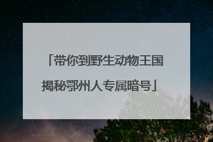 带你到野生动物王国揭秘鄂州人专属暗号