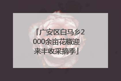 广安区白马乡2000余亩花椒迎来丰收采摘季