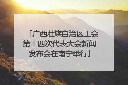广西壮族自治区工会第十四次代表大会新闻发布会在南宁举行