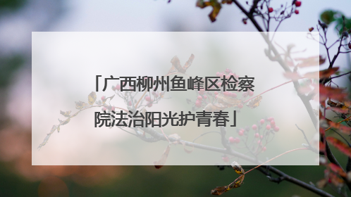 广西柳州鱼峰区检察院法治阳光护青春