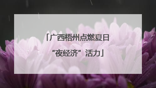 广西梧州点燃夏日“夜经济”活力