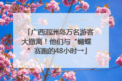 广西涠洲岛万名游客大撤离！他们与“蝴蝶”赛跑的48小时→