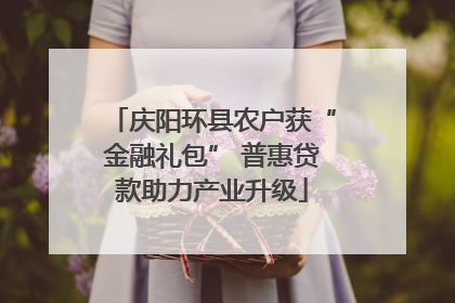 庆阳环县农户获“金融礼包” 普惠贷款助力产业升级