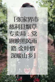 张家界市慈利县烟草专卖局：党旗映照风雨路 金叶情深暖山乡