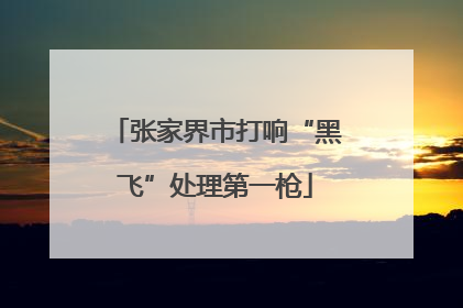 张家界市打响“黑飞”处理第一枪