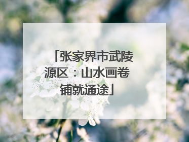 张家界市武陵源区：山水画卷铺就通途