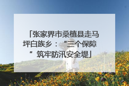 张家界市桑植县走马坪白族乡：“三个保障”筑牢防汛安全堤