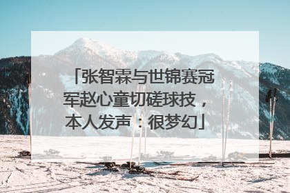 张智霖与世锦赛冠军赵心童切磋球技，本人发声：很梦幻