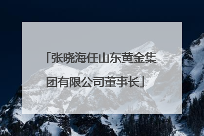 张晓海任山东黄金集团有限公司董事长