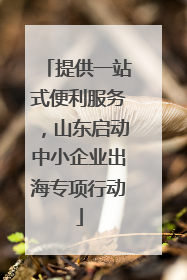 提供一站式便利服务，山东启动中小企业出海专项行动