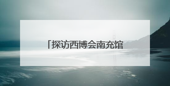 探访西博会南充馆 62家企业携“拳头”产品参展
