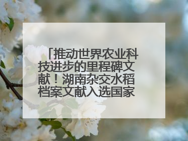 推动世界农业科技进步的里程碑文献！湖南杂交水稻档案文献入选国家级名录