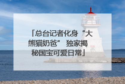 总台记者化身“大熊猫奶爸” 独家揭秘国宝可爱日常