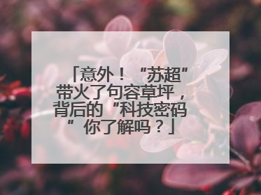 意外！“苏超”带火了句容草坪，背后的“科技密码”你了解吗？
