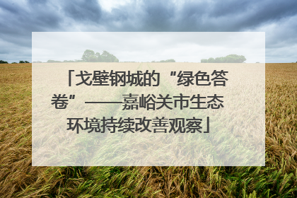 戈壁钢城的“绿色答卷”——嘉峪关市生态环境持续改善观察