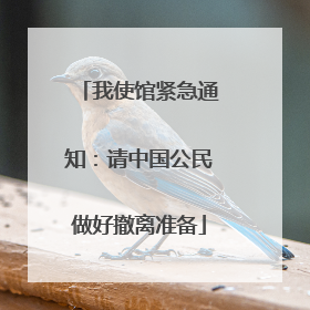 我使馆紧急通知：请中国公民做好撤离准备