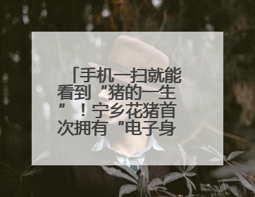 手机一扫就能看到“猪的一生”！宁乡花猪首次拥有“电子身份证”