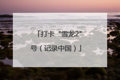 打卡“雪龙2”号（记录中国）