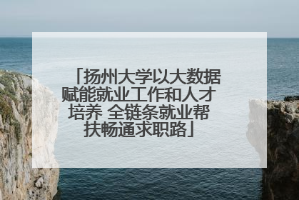 扬州大学以大数据赋能就业工作和人才培养 全链条就业帮扶畅通求职路
