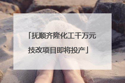 抚顺齐隆化工千万元技改项目即将投产