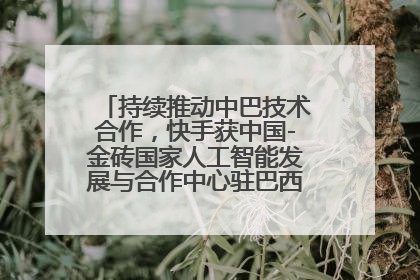 持续推动中巴技术合作，快手获中国-金砖国家人工智能发展与合作中心驻巴西成果转化中心授牌