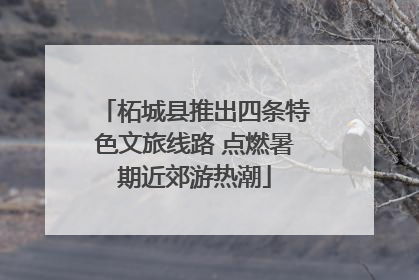 柘城县推出四条特色文旅线路 点燃暑期近郊游热潮