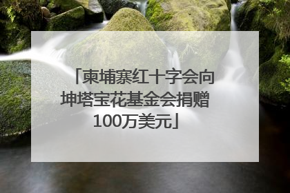 柬埔寨红十字会向坤塔宝花基金会捐赠100万美元