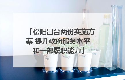 松阳出台两份实施方案 提升政府服务水平和干部履职能力