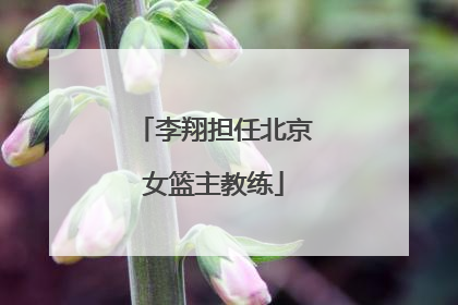 李翔担任北京女篮主教练