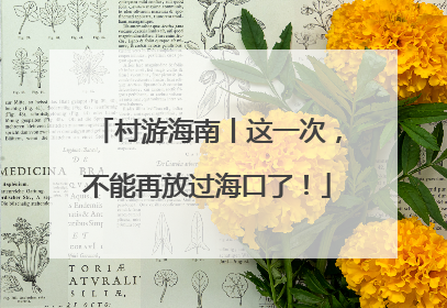 村游海南丨这一次，不能再放过海口了！